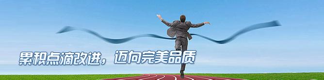 累積點滴改進，邁向完美品質--1.jpg